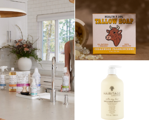 Non-Toxic Living cover photo collage