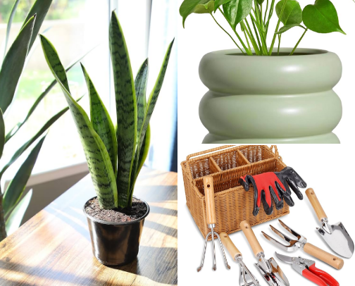 🪴Plants, Pots & Garden Goods cover photo collage