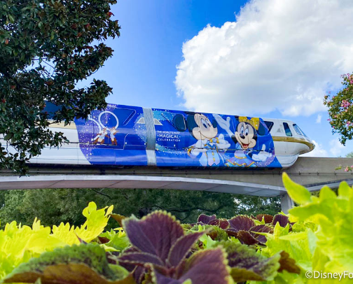 Walt Disney World - Orlando, FL cover photo collage