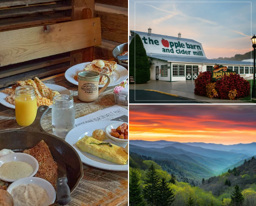 While in Tennessee... cover photo collage