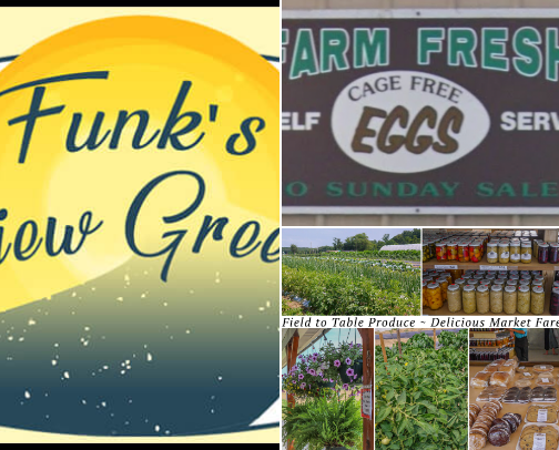 Favorite Farm Stands, Markets & Independent Offerings in and near Lancaster County cover photo collage