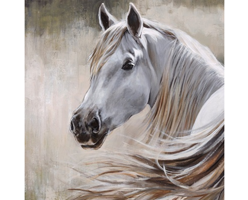 My Top Poster Recs cover photo collage