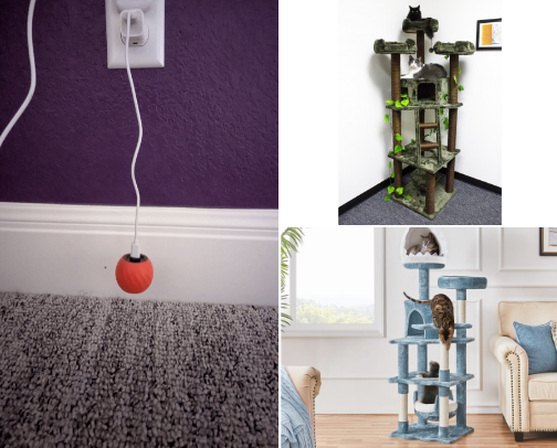 Fun and Unique Cat Items cover photo collage