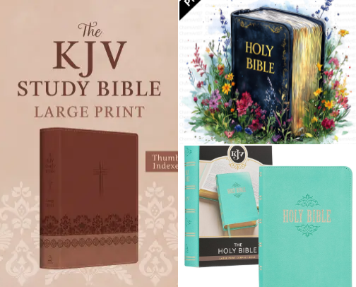 My favorite book recs cover photo collage