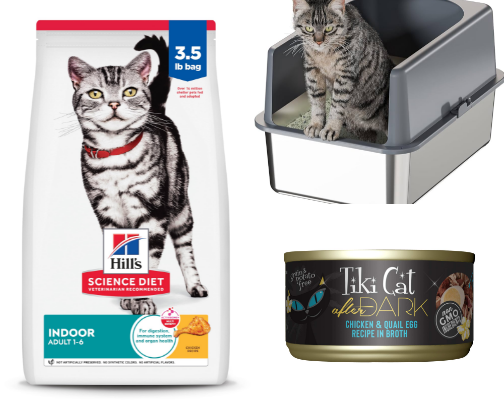 I'm not a regular cat mom. I'm a cool cat mom. cover photo collage