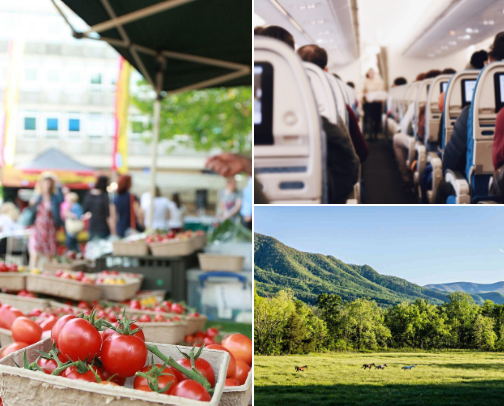 My go to low tox travel tips cover photo collage