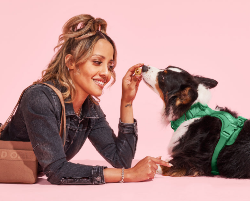 Things Every Dog Parent Needs 🐶 cover photo collage