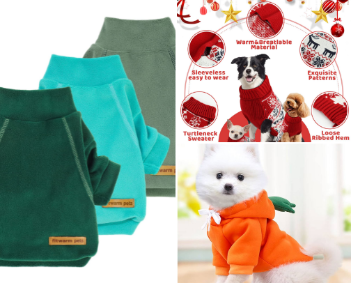 Pawsitively Stylish 🐾 cover photo collage