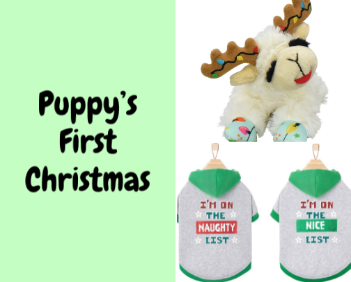 How To Make Your Puppy's First Christmas A Success!  🎄❄️ cover photo collage