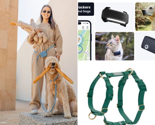 walks & adventures cover photo collage