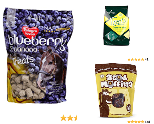 Horse Related Items cover photo collage