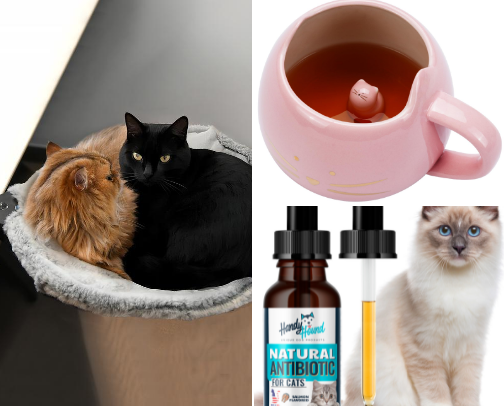 Luna the cat items some have some she has some we wish for her cover photo collage