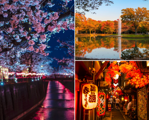 No Need to Spend Money to Fall in Love with Tokyo cover photo collage
