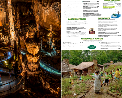 What to do in Arkansas cover photo collage