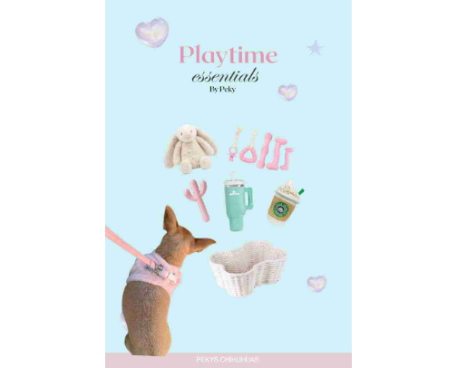 Chihuahua Playtime Essentials 🐾 | Favorite Dog Toys from Peky, Cheché & Copito cover photo collage