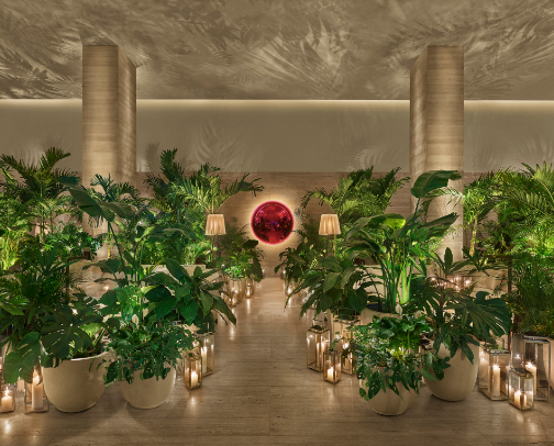 5 Star Hotels/Resorts cover photo collage