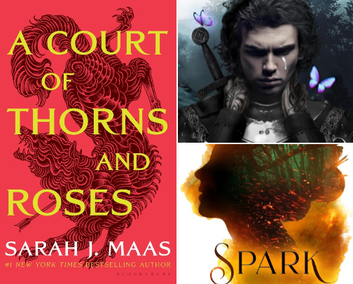 My favorite book recs cover photo collage