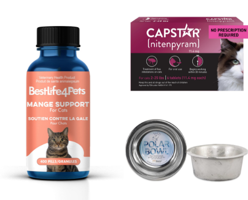 Neccessities for Caring for Feral Cat Communities cover photo collage