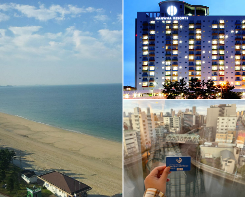 Top Hidden Gems & Hotels Near Boryeong Mud Festival cover photo collage