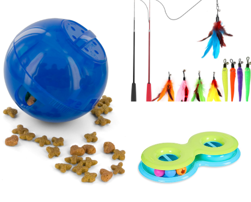 Cat/kitten essentials cover photo collage