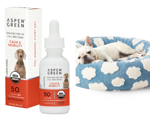 dog mom essentials cover photo collage