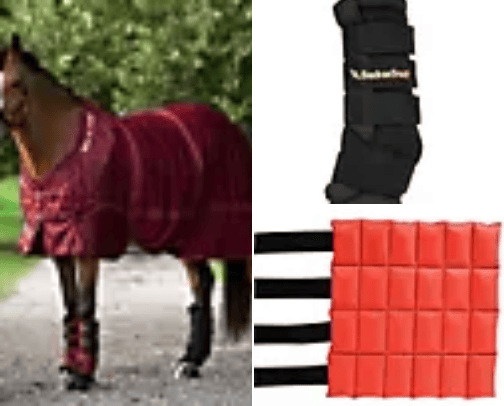 Pre / post workout Products and gear cover photo collage