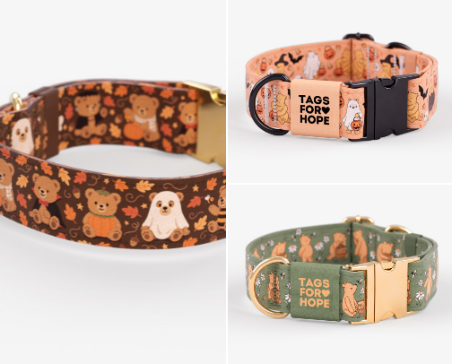 Cutest Halloween Dog Collars cover photo collage