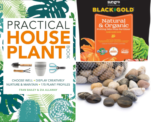 indoor planting cover photo collage