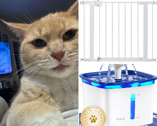 For all your furry friends 🐶🐱 cover photo collage