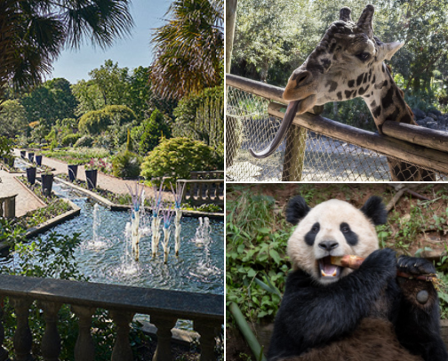 Memorable zoos across the country cover photo collage