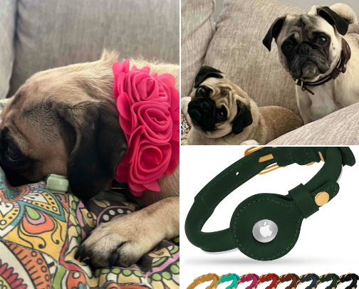 Pug Owner Must Haves cover photo collage