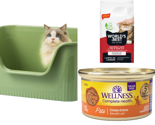 Cat care essentials cover photo collage