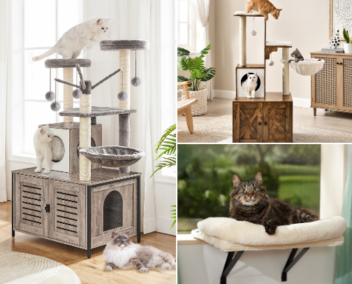 Elevate Your Cat's Lifestyle cover photo collage