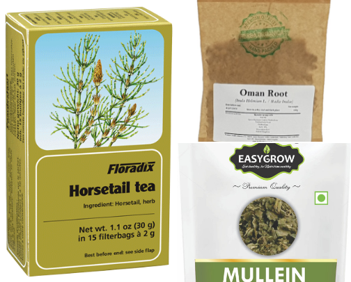 Discover strong power of MEDICINAL HERBS!! cover photo collage