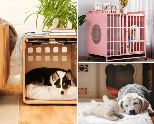 The New Dog Parent’s Aesthetic Starter Kit 🐾 cover photo collage