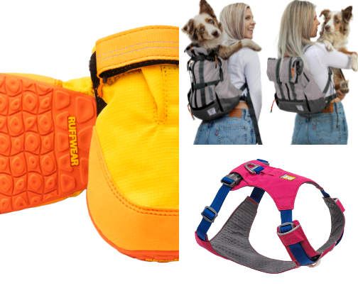 Best outdoor gear for dog🐶 cover photo collage
