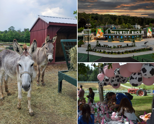 Things to do in North Jersey with kids cover photo collage