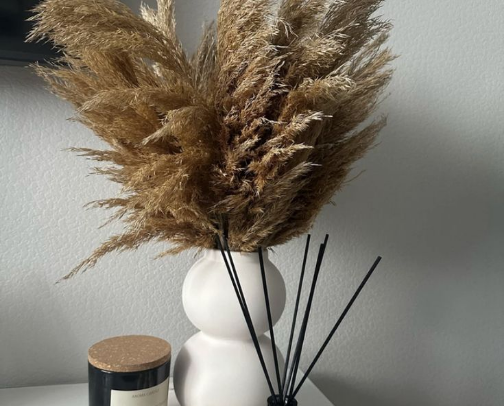 Aesthetic Amazon home finds under $30 cover photo collage