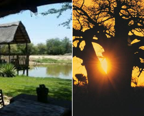 The Ultimate Limpopo Escape: Rail to Bush cover photo collage