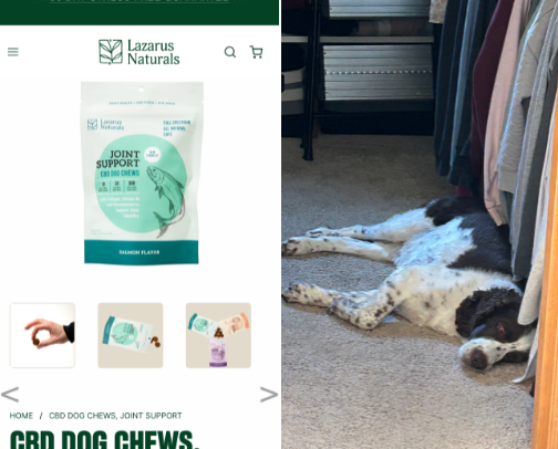 Pets cover photo collage