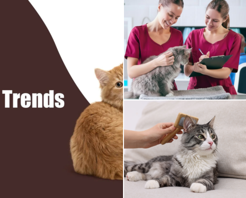 The Cat Lover’s Guide to a Happy, Healthy Cat Life cover photo collage