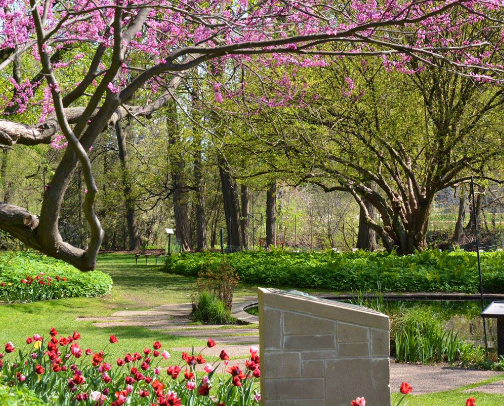 My top recs cover photo collage