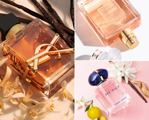 Perfumes that will make every boy addicted to you cover photo collage