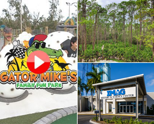 Precious Gems of SWFL cover photo collage