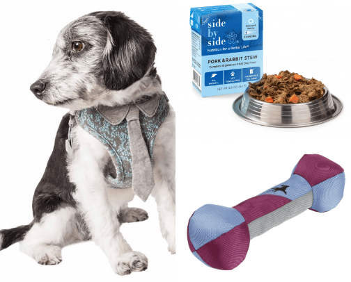 Everything you need for your dog 🫶  cover photo collage