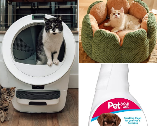 6 Things That Made My Pet and My House Smell Better cover photo collage