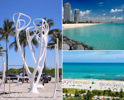 🌴 Places to Visit in Miami cover photo collage