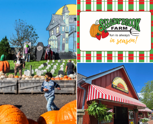 Best Pumpkin Patch Farms Near Philadelphia cover photo collage