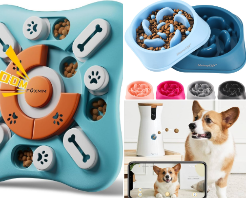 Amazon Pet Essentials Every Dog Owner Should Have cover photo collage