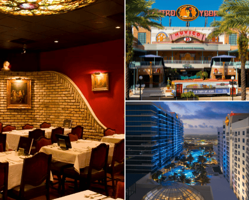 Things to do in Tampa, Florida cover photo collage